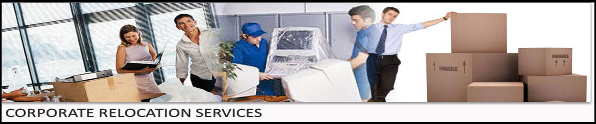 Packers And Movers Noida Sector 113